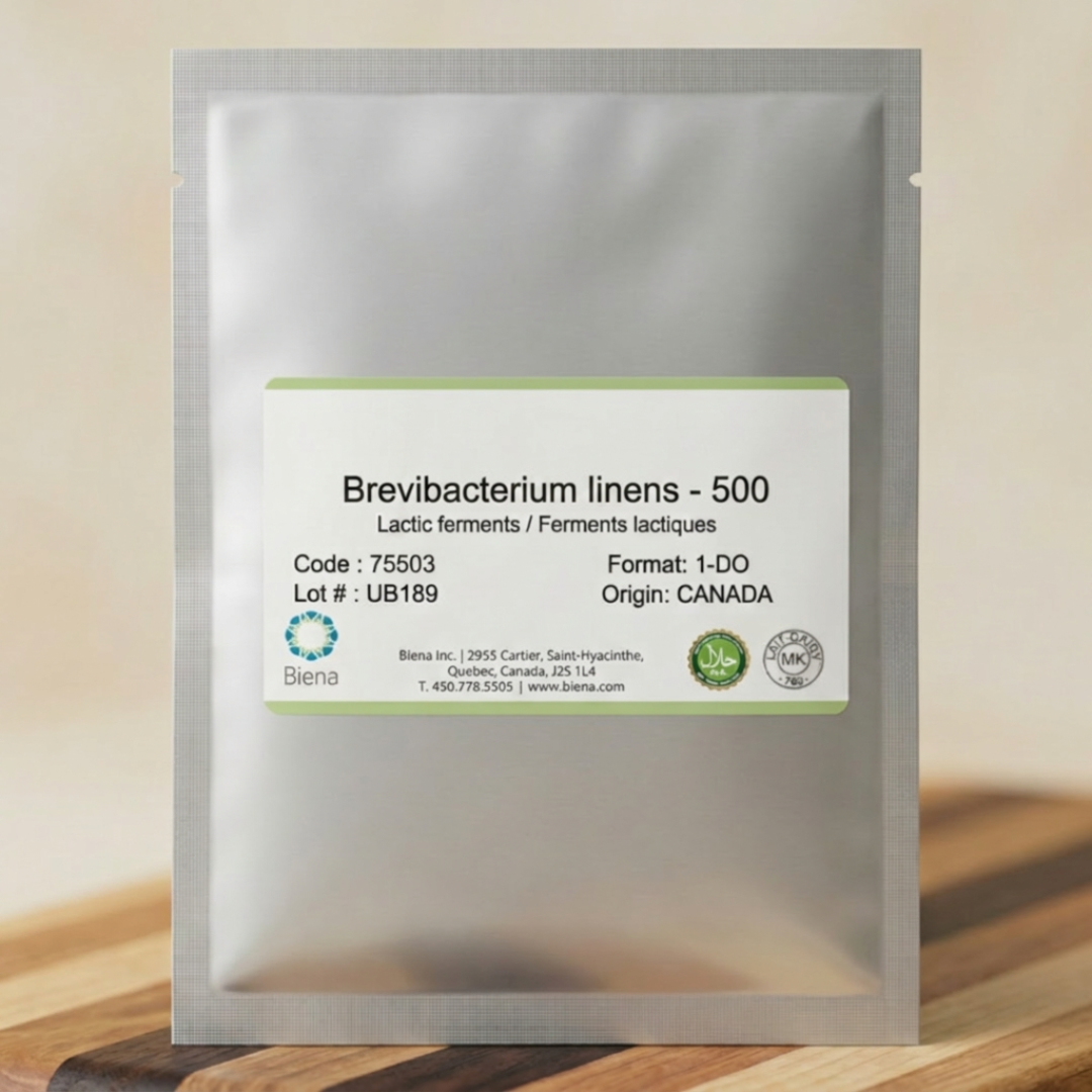 Brevibacterium linens