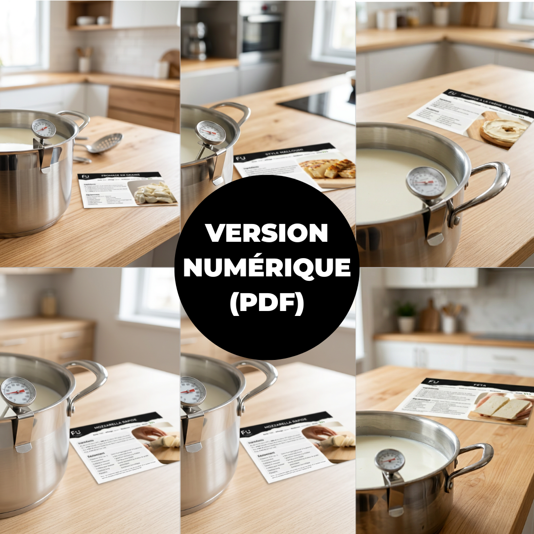 Pack 7 recettes de fromages maison (version numérique)