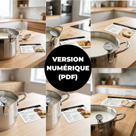 Pack 7 recettes de fromages maison (version numérique)